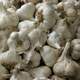 Garlic, Granules (Allium sativum)